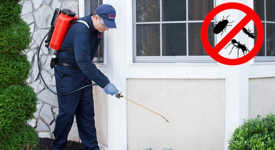 Pehlivanköy Dezenfeksiyon böcek ilaçlama ve haşere kontrolü — ilaclama-tr.com
